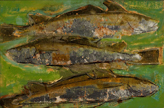 Debbie Clarke's Blog Spot